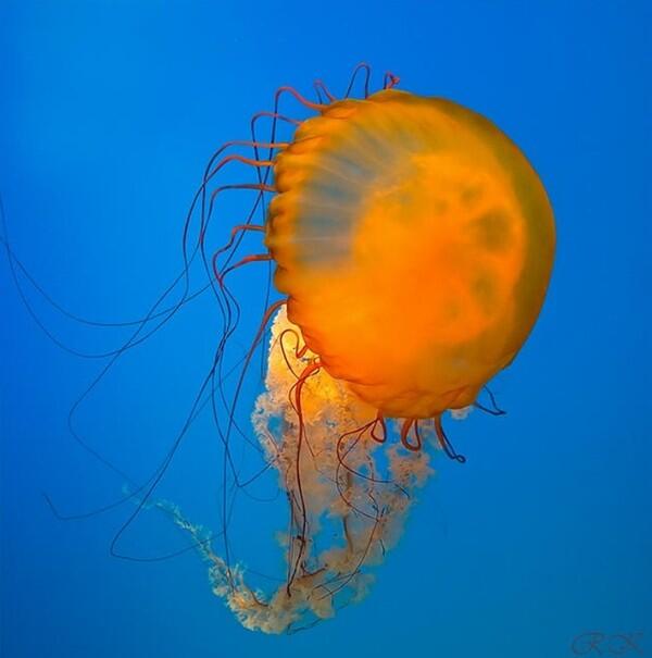 Grantley_street's tweet photo. @plasticorascon                   
@chgrand666 
http://t.co/juRnrtJcdw