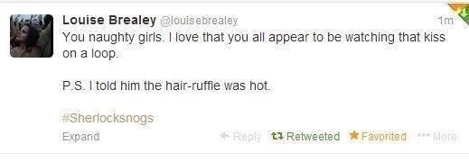 hmmSHERLOCK's tweet photo. Well done to @louisebrealey for this Tweet. IT IS SO DAMN TRUE. #Sherlocksnogs #Sherlock3 http://t.co/DGi6oQhHxy