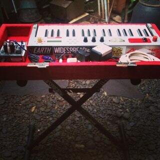 For sale Synthesizer Alesis Red 4Jt + Hard Case + Book. Info : 73DEFC5D !!!