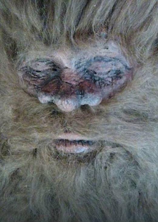 amhaunted's tweet photo. #RickDyer, despised and reviled by most sentient beings, is touring with his #DeadBigfoot http://t.co/6kffqkDd3x http://t.co/YD5lwyrPp4