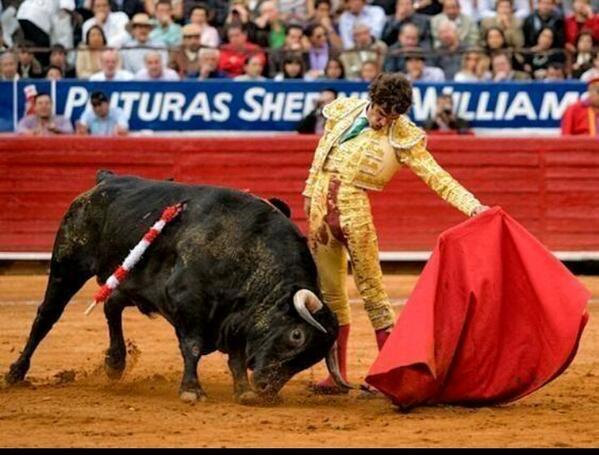 _Paisajes_'s tweet photo. RT si estás a favor de las corridas de toros.

Fav si estás en contra. http://t.co/nlHWNc5Z2C