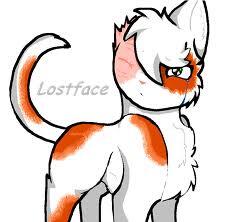 LostFace (@lost_face1) on Twitter photo 