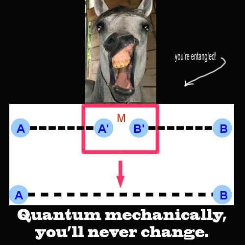 MindDonkey tweet picture