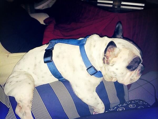 mjgarcas89's tweet photo. Se dice q esta entre dos... Brazos de sillones!! http://t.co/sSbLN2Sx0l