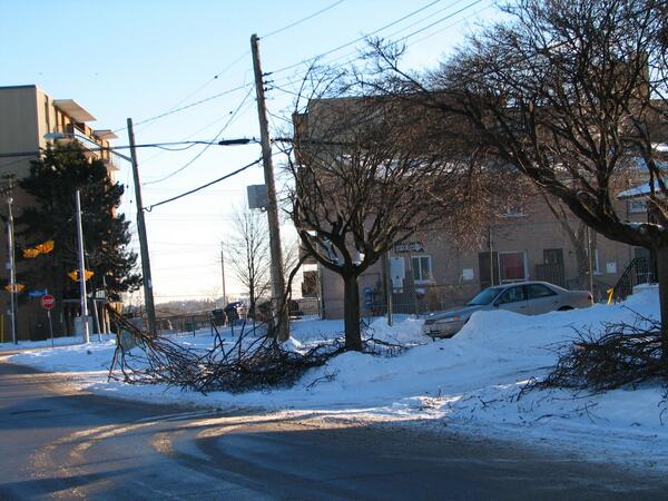 aletheiaverita's tweet image. @TheTorontoSun Another from goo.gl/maps/aCazX Get further w/ squirrels. #govfail #ourleadersfailus #icestorm2013