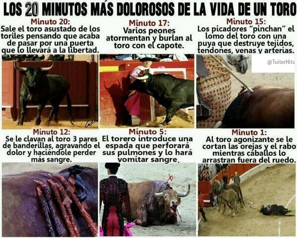 TuiterHits's tweet photo. Dime, ¿sigues creyendo que esto es arte? http://t.co/KqaNJuq6Ub
