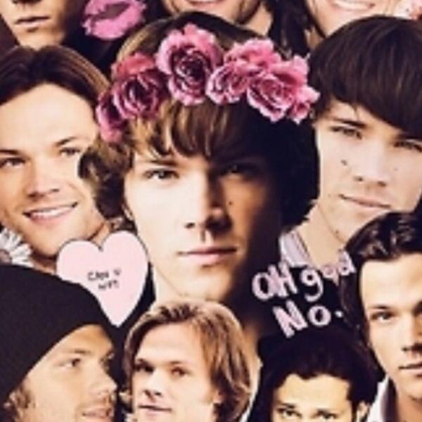 Loving_Castiel's tweet photo. Hope you like this picture ! Of Sammy aww! @jarpad BIGGEST FAN I LOVE YOU! My moose! :) <3 http://t.co/O1Nz24NuBs