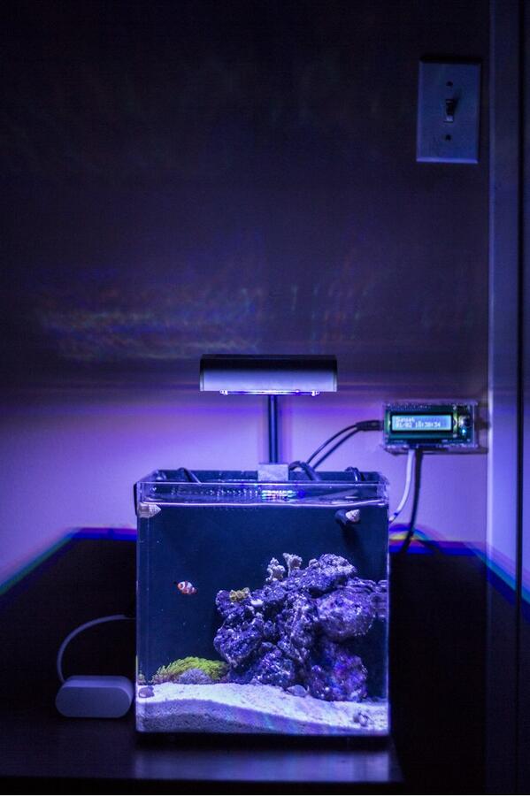 NanoBoxReef's tweet photo. Simple but amazing. Nano Box Tide http://t.co/4fI22VRJwQ