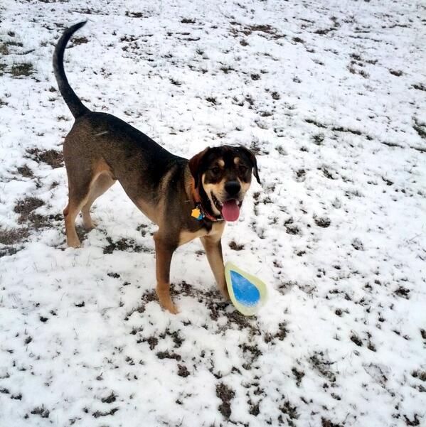 TheJonJoy tweet picture