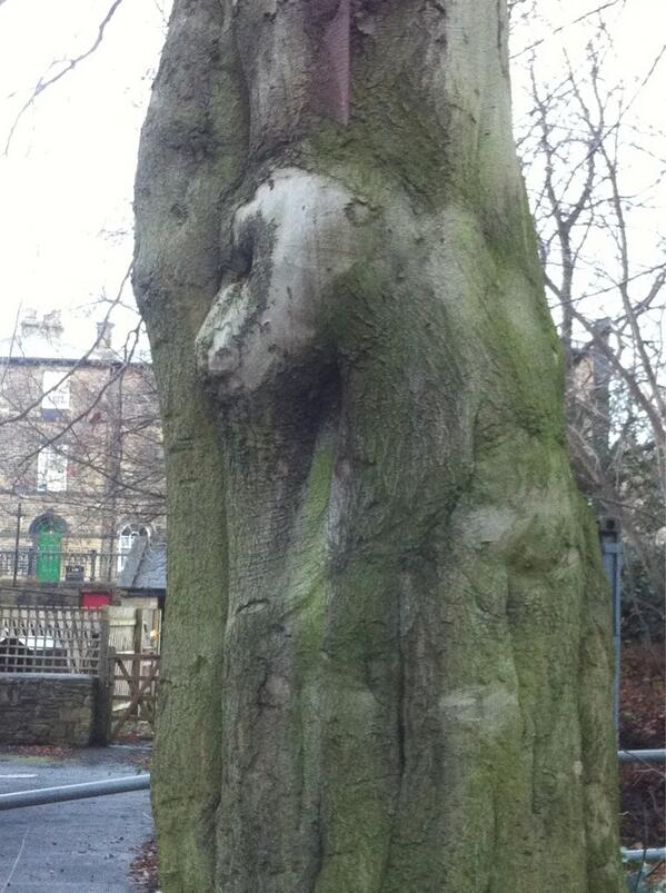 Porlt's tweet photo. @FacesPics baboon in tree http://t.co/UZfvu70mqg