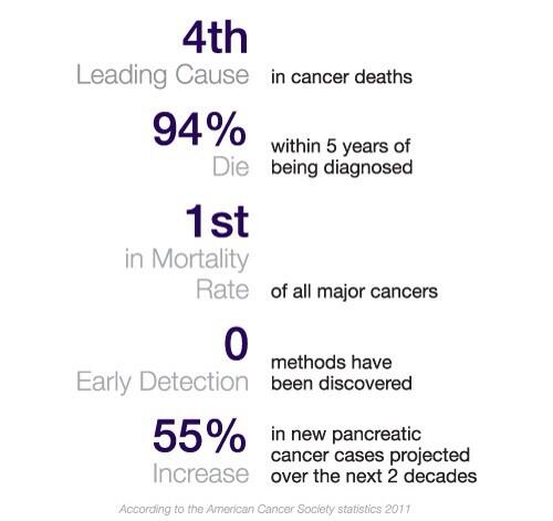 j novicky tweet media