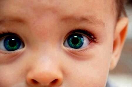 HayQueSaberlo's tweet photo. Los ojos más bonitos del mundo en 2012, según National Geographic. http://t.co/heOYoGSBVM