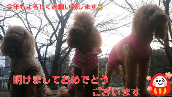 LightNail's tweet photo. http://t.co/UuDdBN9FA0