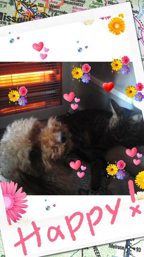 LightNail's tweet photo. http://t.co/WFql0N90yD