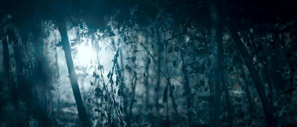 Rajavel__Mohan's tweet photo. ...a grab from my film 'Nedunchalai' ! #RED #DigitalGrading http://t.co/H2PJSL6z5N