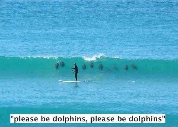 HusonTyler's tweet image. #fml