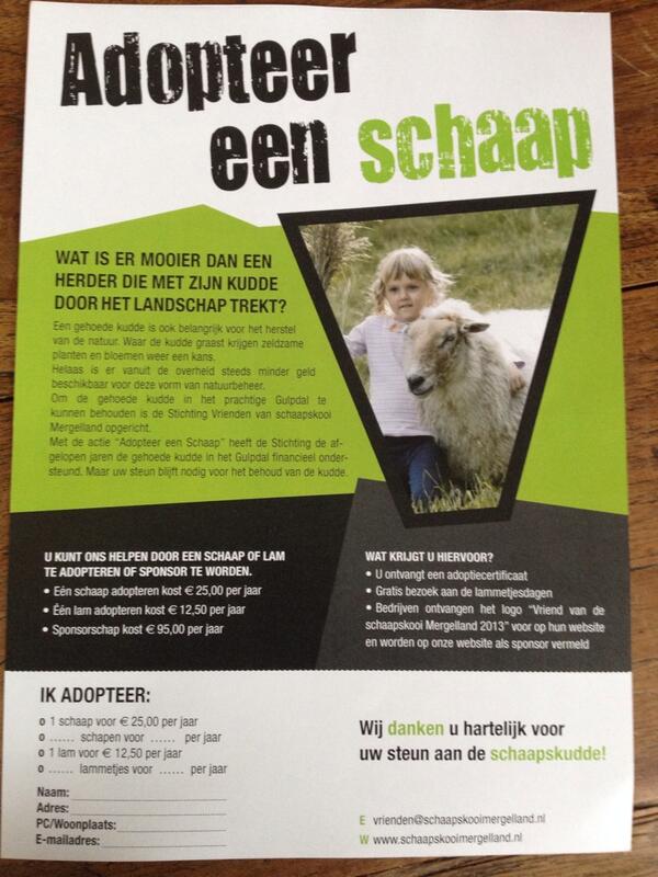 Dit weekend doen de schapen van #schaapskooi #Mergelland op #eperheide hun jas uit. Kom je ook? #adopteereenschaap