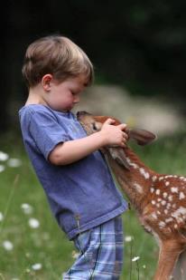 Brian_E_Miller's tweet photo. "The #greatness of a nation can be judged by the way its animals are treated" ~Gandhi http://t.co/oSsMHJX2xO