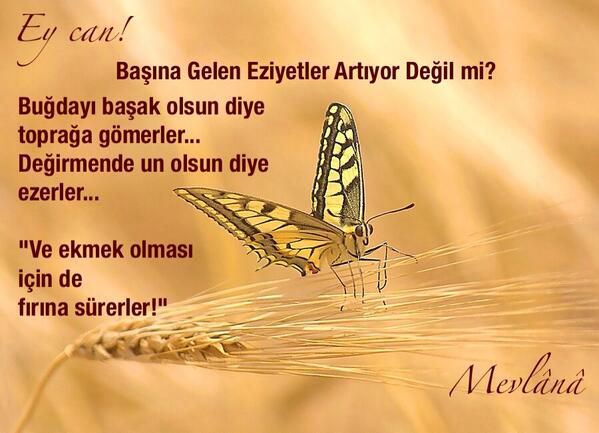 Dr. Kudret (@drkudret) on Twitter photo 