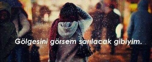 KOÇ, BALIK, KOVA, BOĞA