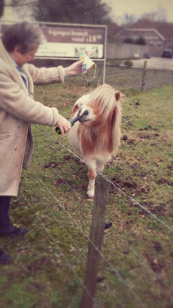 kazanhans's tweet image. Party met Ponnie st. Claire!