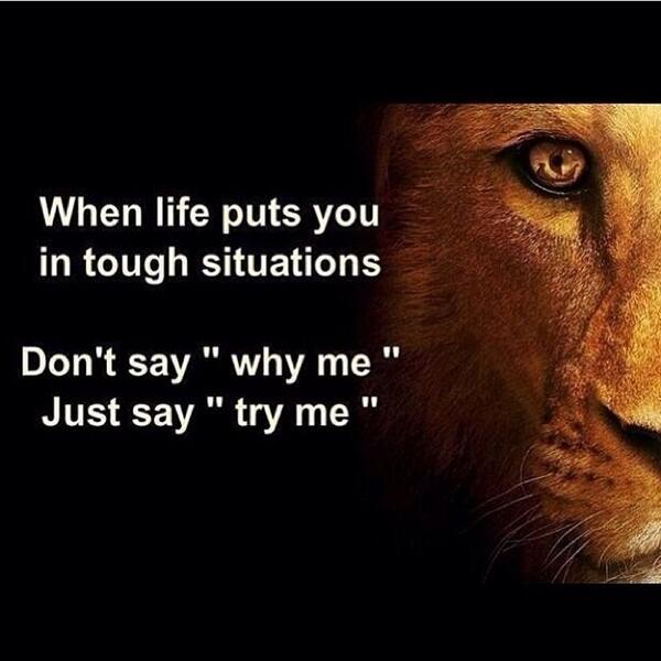 BestProFitness's tweet photo. http://t.co/ZnJ6CkSovv