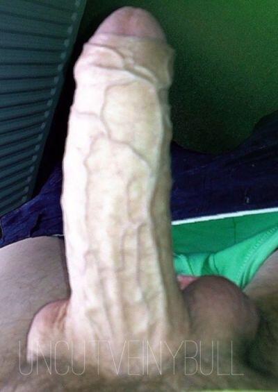 rfsmithn_ew_537's tweet photo. uncutveinybull #thickcock #cockforkeppy #cockforrosie #cockforabbie #hugecock http://t.co/s0GJ1a5gyS http://t.co/Vf2AKkVTsP