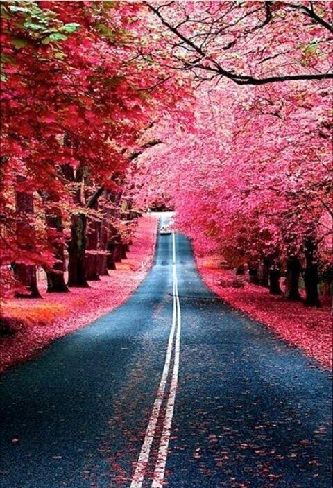 想いが叶う恋が実る デートスポット画像 Hanahanadragon1 Twitter