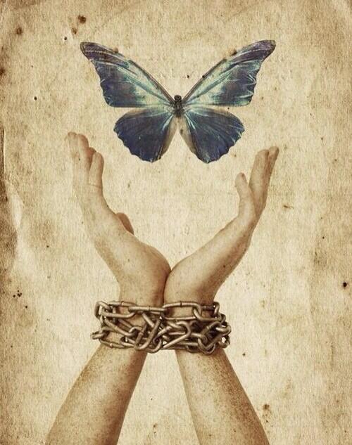 "el aleteo de las alas de una mariposa se puede sentir al otro lado del mundo"