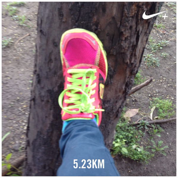 danymori's tweet photo. Dicen que si no lo compartes, no vale... 😜 Acabo de correr 5.23 km con Nike+. #nikeplus http://t.co/F9gIUOk7Ap