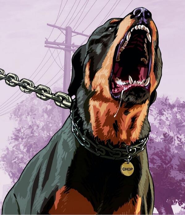 RandomGTAShit's tweet photo. RT | If you think Chop is the best dog in Grand Theft Auto 5! 🐶 #GTA #Chop http://t.co/N1Bv4G4tXL