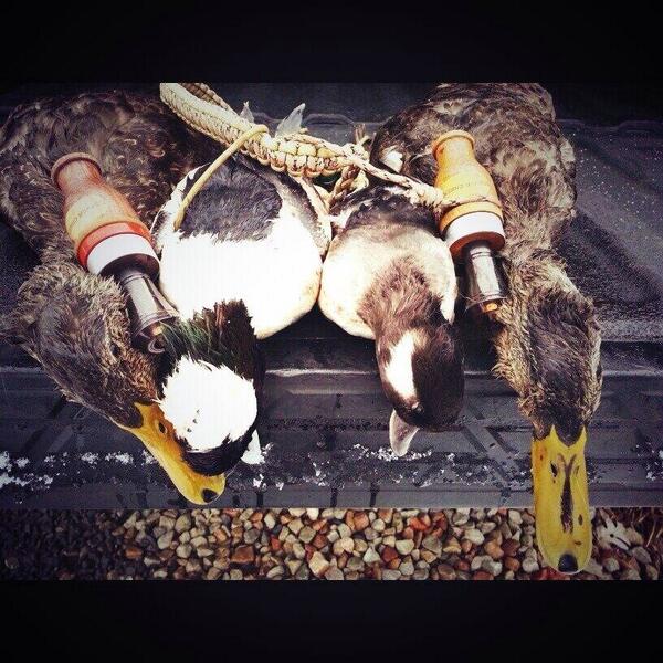BeavrCreekCalls's tweet photo. Find all our custom calls at http://t.co/V9ggmbWJ8C #BeHeard http://t.co/66TzgB2uci