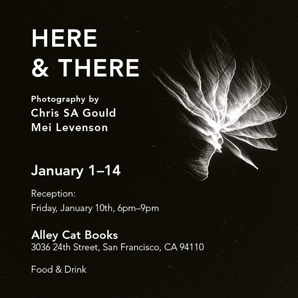 HMPC50's tweet photo. Opening reception of 'Here &amp; There' at Alley Cat Books Friday, January 10, 6-9pm. See the flyer for more info http://t.co/ICTUUBSq4W