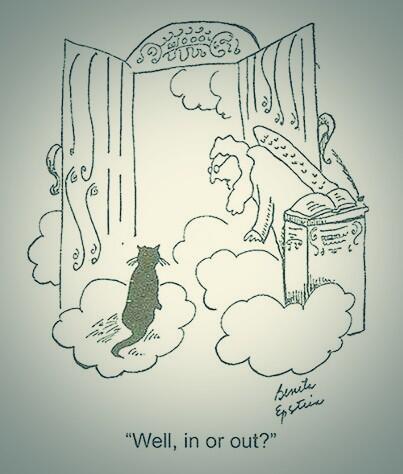VeterinaryHumor tweet picture