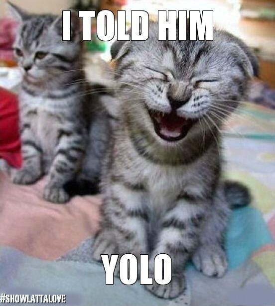 LattaUSA's tweet image. #showlattalove too funny!