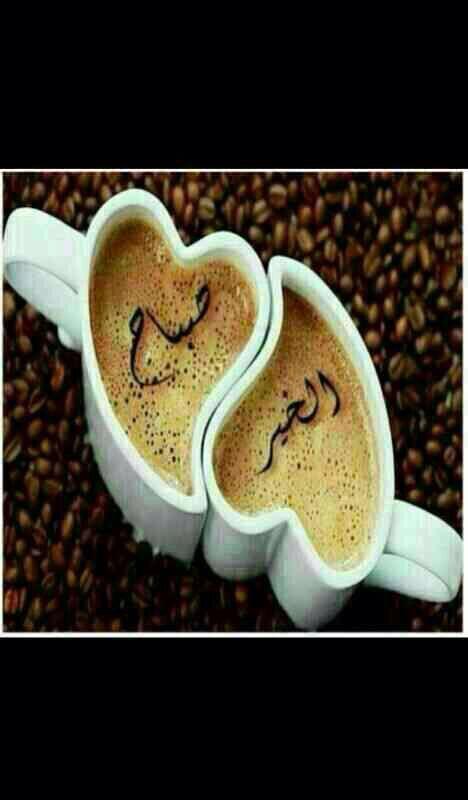 aliaaap1's tweet photo. http://t.co/px1lxntGFY