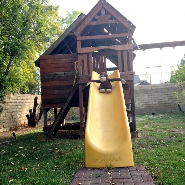 salvajemonroy's tweet photo. Mientras mi mama rueda su pelicula, yo me lo paso chupi en el jardin de la mansion;-)) Que casa tan cuchi!! http://t.co/E7kasPOzGR