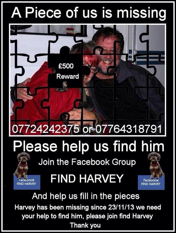 ChelsESmithxx's tweet photo. @wossy could you please retweet this, little Harvey has been missing for 43 days! @Find_Harvey http://t.co/g45sp8WAET