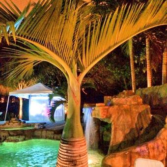 Gotta ❤️ #Miami http://t.co/hzlW9NDoTT<a href="/tag/miami"class="tags">#Miami</a>