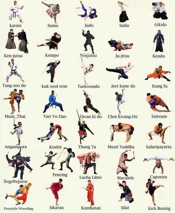 feptmma's tweet photo. Modalidades de entrenamiento de artes marciales http://t.co/ij9oMznMMA