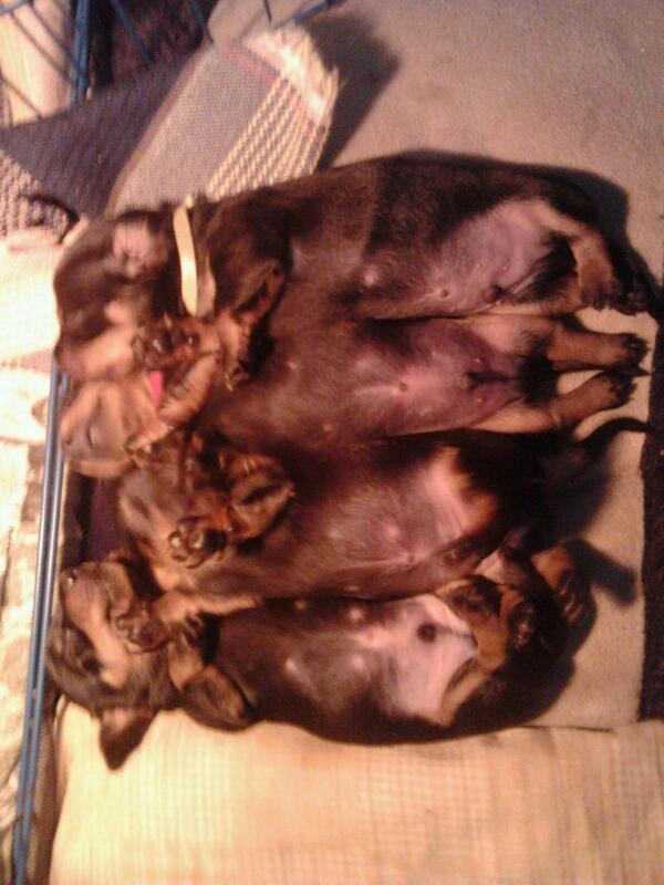 etpd (@etpd2402) on Twitter photo 