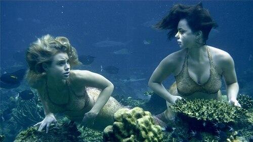 Mako Mermaids - News (@MermaidsNews) / X