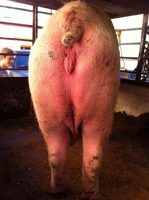FSCaridadH's tweet photo. Anyway you look at it, bacon is delicious... http://t.co/ByTaE8OfHS