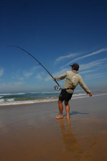 RobertGordonKyl's tweet photo. Putting some serious pressure on a bronzie with the #Assassin EVO and #Shimano Saragosa with 50lb #Gosen #fishing http://t.co/ET3apkXlsM
