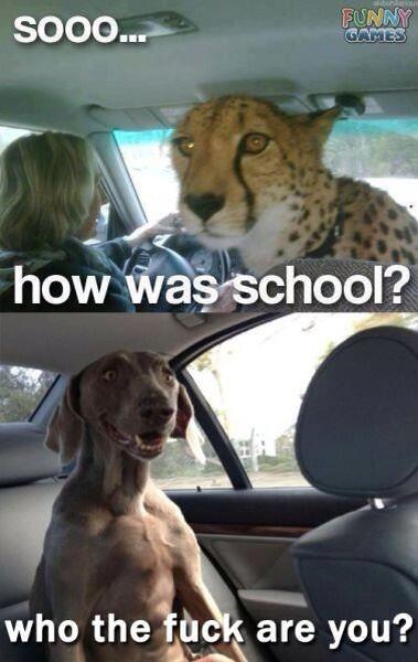 LMFAOTeenTalk's tweet photo. OMG. Stop. HAHAHAHAHAH. I don't know why I'm laughing so hard! http://t.co/885URLfw8R
