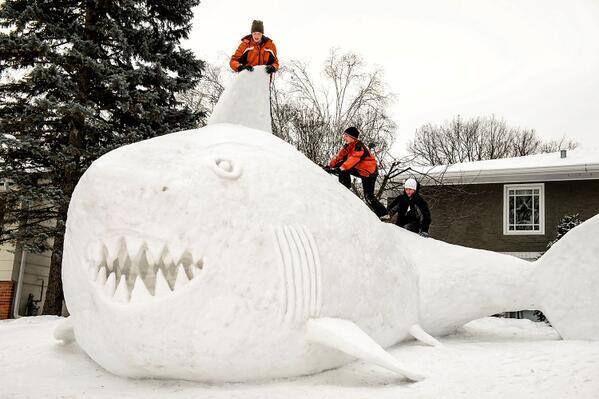 Don’t tell Colin Barnett he’ll want to cull it - Minnesota brothers build a snow #shark the size of a house