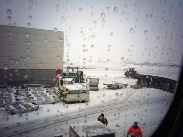 katherine tweet media