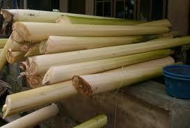 TDAdventure's tweet photo. Tumbuhan yang dapat dimakan
Dari batangnya bisa dari pohon pisang (putihnya) #SURVIVAL http://t.co/TUBGvlP8Be