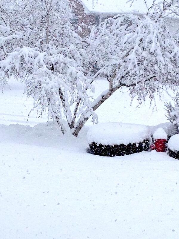 AmberAnania's tweet photo. The snow is beautiful, AND we get another day if winter break! #snowday http://t.co/svz94AsJFH