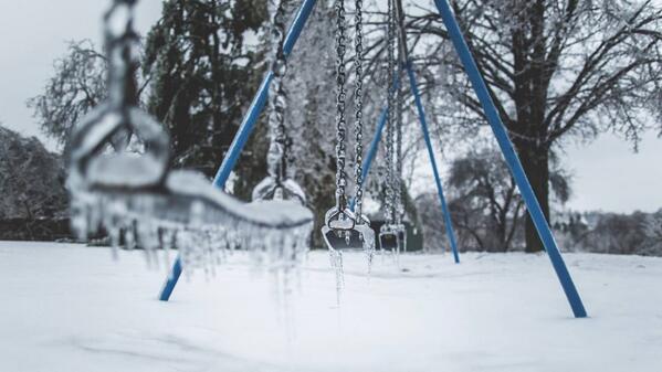 Taylor Robinson tweet media